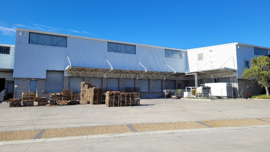 To Let commercial Property for Rent in Montague Gardens Western Cape